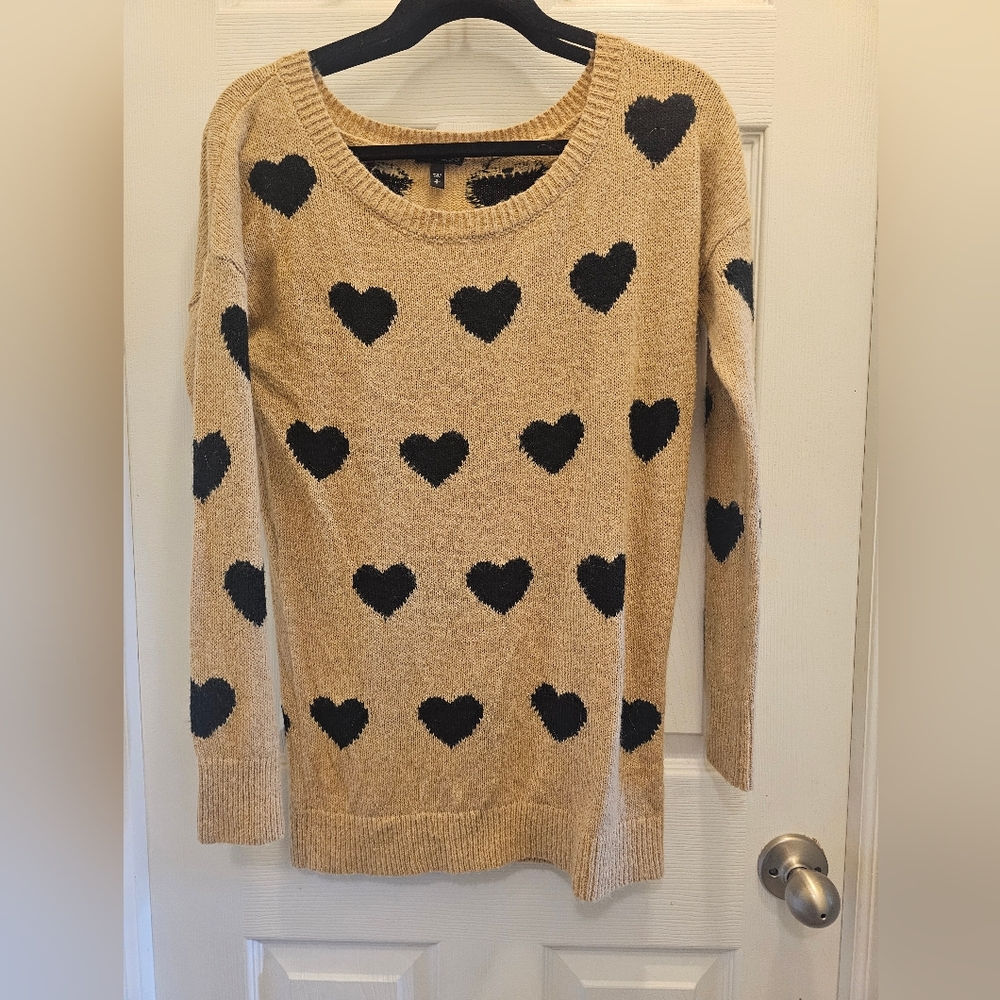 Express Long Sweater